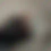 Ernlbn31