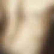Bartiio
