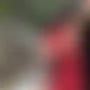 DresBTTM