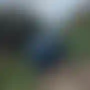 Franko17