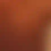Skromnyr