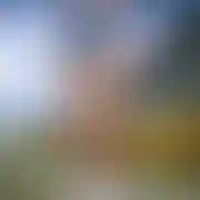 Laleczka9999 - frau, 32 Jahre, Tarnów