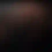 Misiekszukatrans
