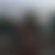 Krk35tomek