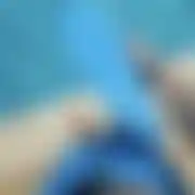 DzikiSzept