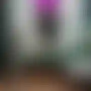 Smerfetkaaa - frau, 41 Jahre, Münster
