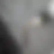 Lutek2