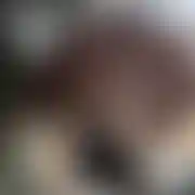 Cipeklove