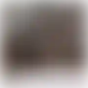 Tylkobzykanko