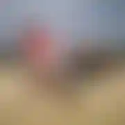 Contico