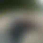 Bzykacz08