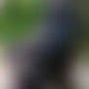 575806142