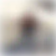 Piotes31052