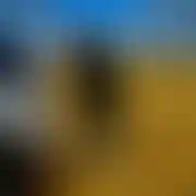 Malik1222 - mann, 31 Jahre, Barsha Heights
