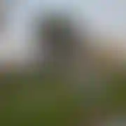 Rafik40Sol4
