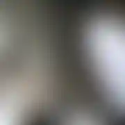 Donpadre