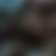 Kwasnyzelekpl