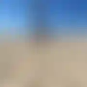 PeregrineFalcon