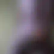 Karol247