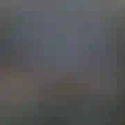 OnPawel692