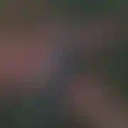Mobilnyaktyw24l