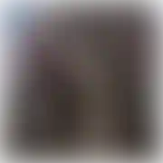 NormalnaParaXXX