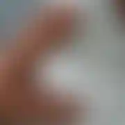 Tulipan80