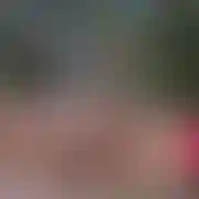 Samellkase87