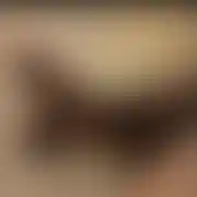 RealnyKonkretnyBartus - mann, 29 Jahre, Żarów