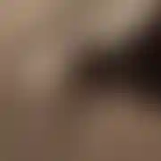 FacetzKomo2024