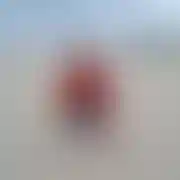 Andriuxa - muž, 40 let, Borken