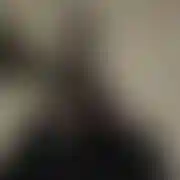 Dawania4040