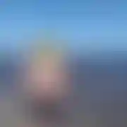 Niedzwiedz96