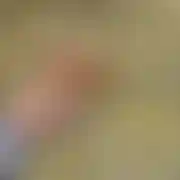 Perez69