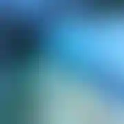Sajmon300810