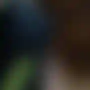 Horny87