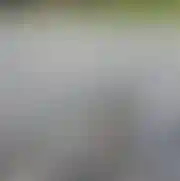 Zangu