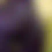 Xxpusia24 - frau, 28 Jahre, Poznań