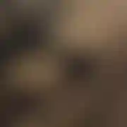 Asteriasldzplus