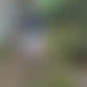 Mario197575