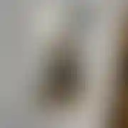 Denis0957 - mann, 24 Jahre, Łagów