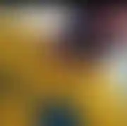 Wielbbw