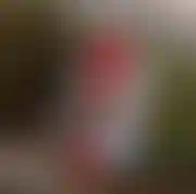 Nienasyconasuka