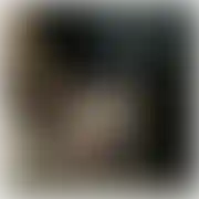 Lubimypieszczoty111