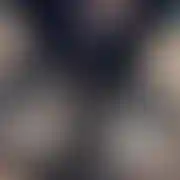 Sparowani96