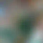 Adlex
