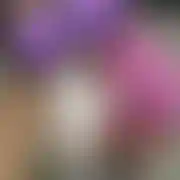 Seksiakikociaki - paar (frau 26 Jahre, mann 28 Jahre), Lokeren