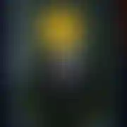 Bblackmenn84