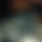 Adasko1984