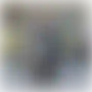Vaxa